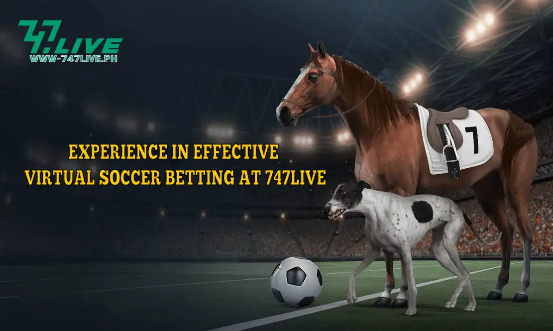 Experience in effective virtual soccer betting at 747Live