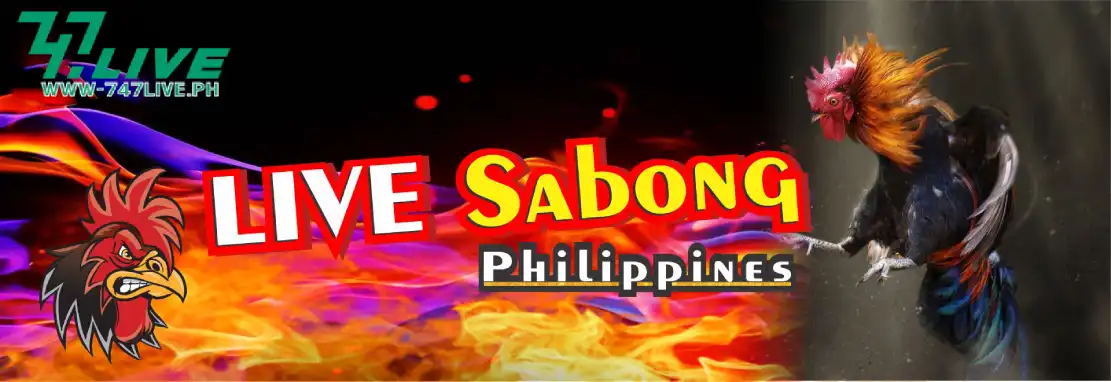 Sabong SV388_ The Ultimate Online Sabong Playground 2024