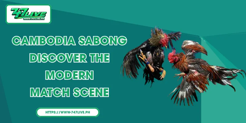 Cambodia sabong – Discover the Modern Match Scene