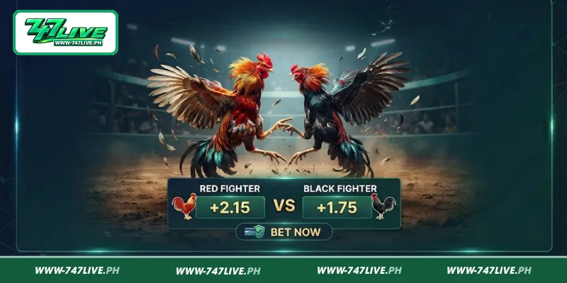 Key Online Sabong Tips to Know Before Betting Key Online Sabong Tips to Know Before Betting