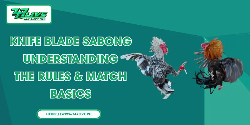 Knife Blade Sabong - Understanding the Rules & Match Basics