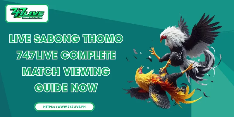 Live sabong Thomo – 747LIVE Complete Match Viewing Guide Now