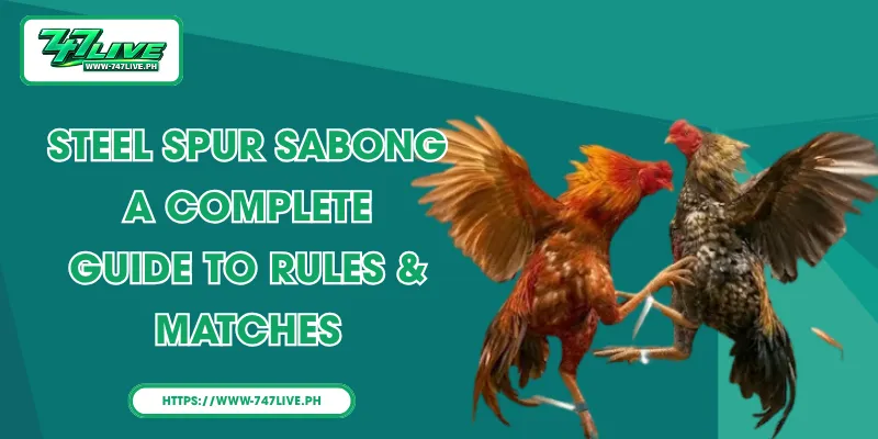Steel Spur Sabong – A Complete Guide to Rules & Matches
